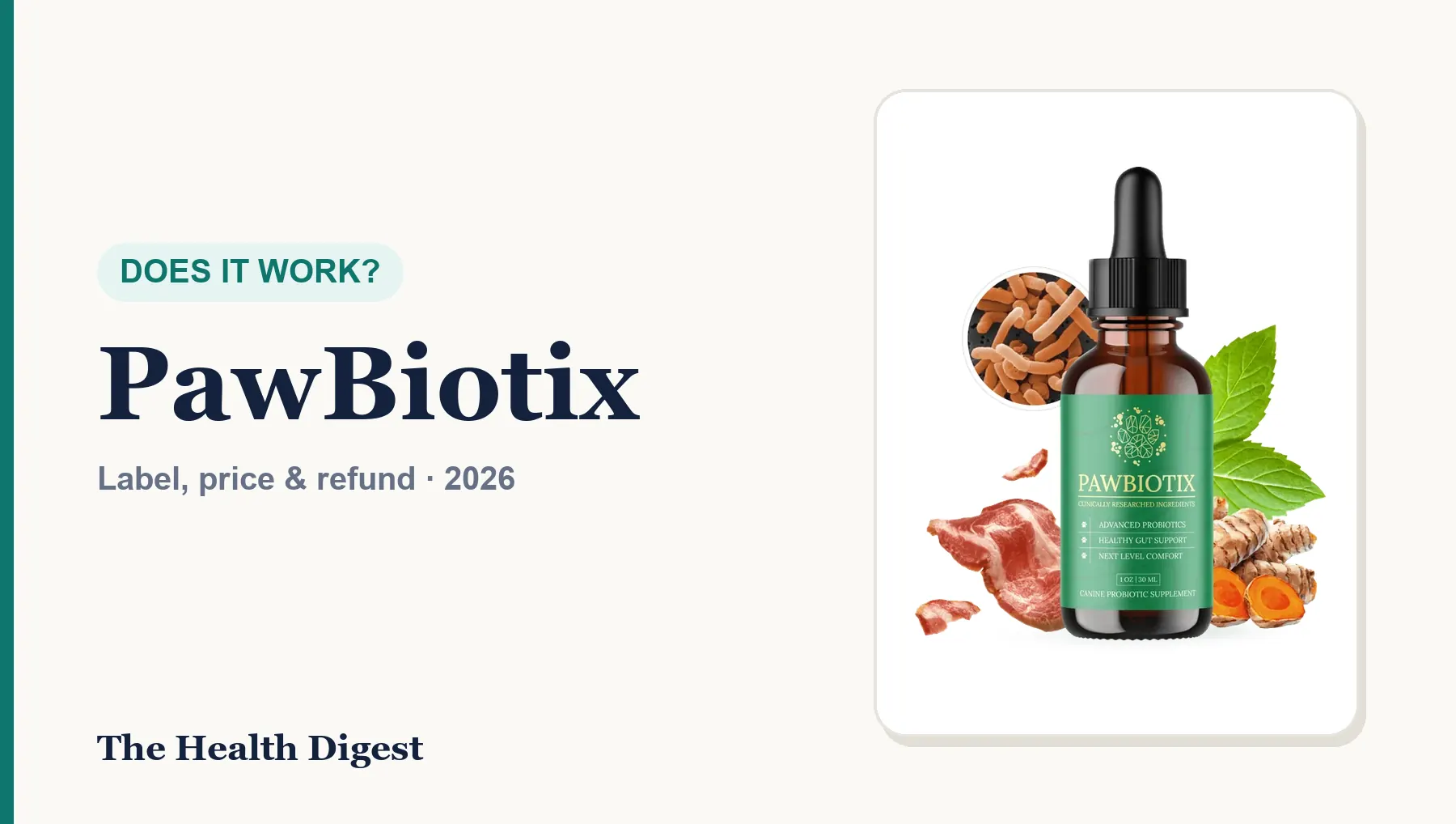 Does PawBiotix Work? What the Research on Dog Probiotics Shows
