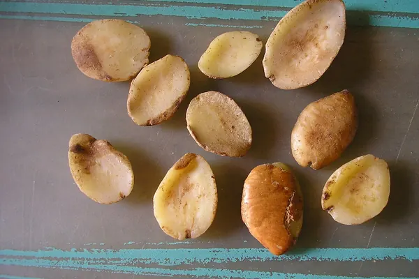 African mango (Irvingia gabonensis) seed kernels, sold as ogbono