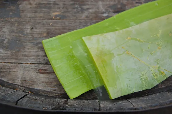 A cut aloe vera leaf showing the clear gel inside