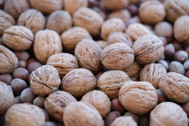 Walnuts and hazelnuts, food sources of boron