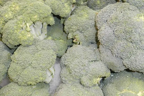 Broccoli florets on ice