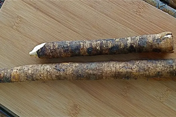 Two burdock roots on a cutting board