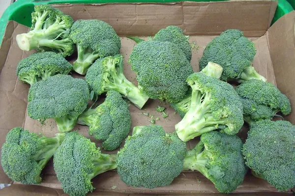 Broccoli florets in a market crate, a food source of chromium