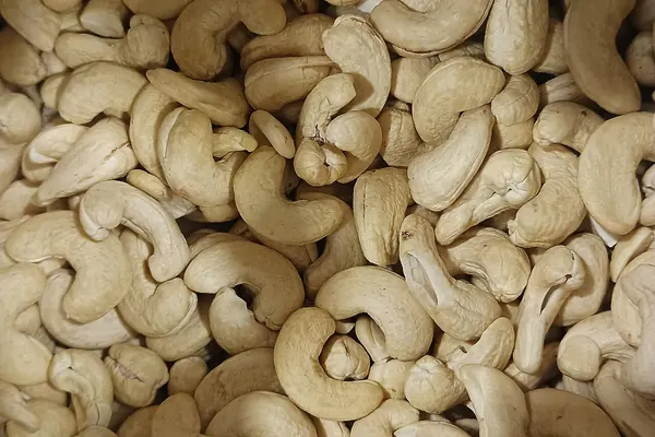 Cashew nuts, a common food source of copper