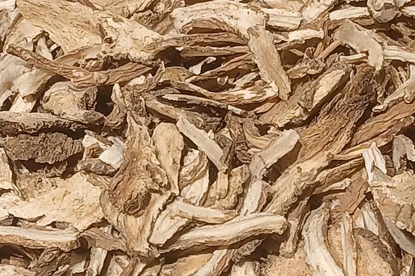 Dried slices of angelica root