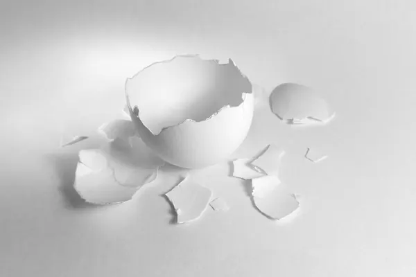 A cracked eggshell on a white background