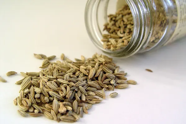 Fennel seeds spilling from a glass jar