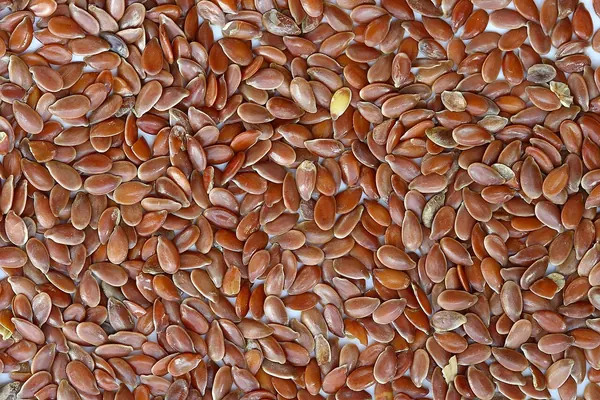 Brown flax seeds
