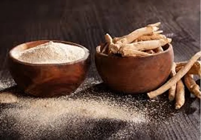 Dried ginseng root pieces and root powder in wooden bowls