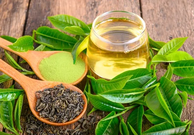 Fresh green tea leaves with matcha powder and loose dried tea