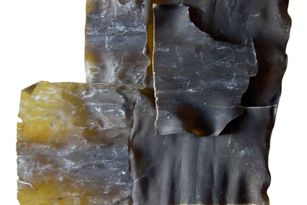 Dried kombu kelp