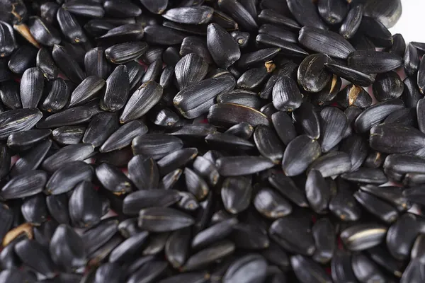 Sunflower seeds, a common food source of cystine