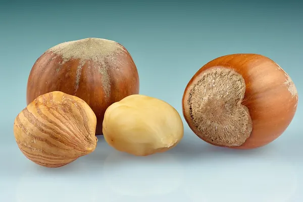 Hazelnuts, whole and shelled