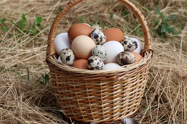A basket of hen and quail eggs, a common food source of methionine