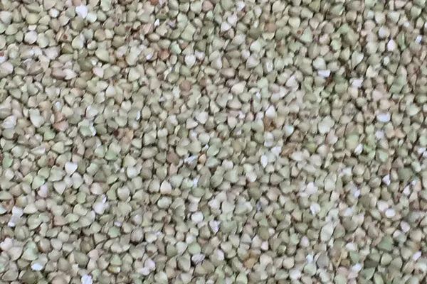 Raw buckwheat groats, a common food source of rutin