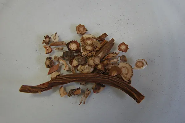 Dried sarsaparilla root, whole and in slices