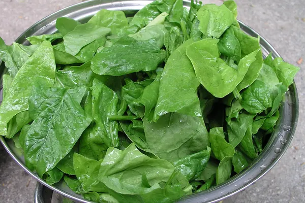 Fresh spinach leaves in a bowl