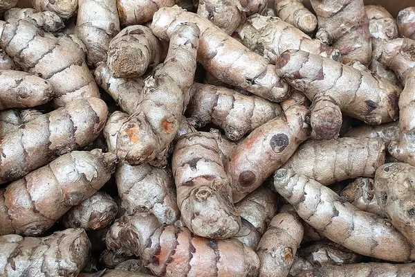 Fresh turmeric roots (rhizomes) at a market
