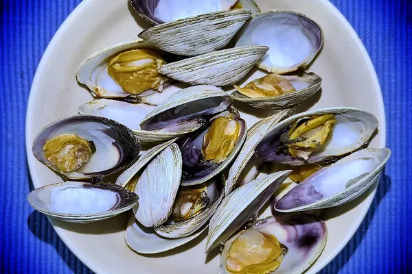 Cooked littleneck clams on a plate